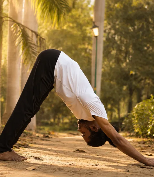 Live Yoga Online USA